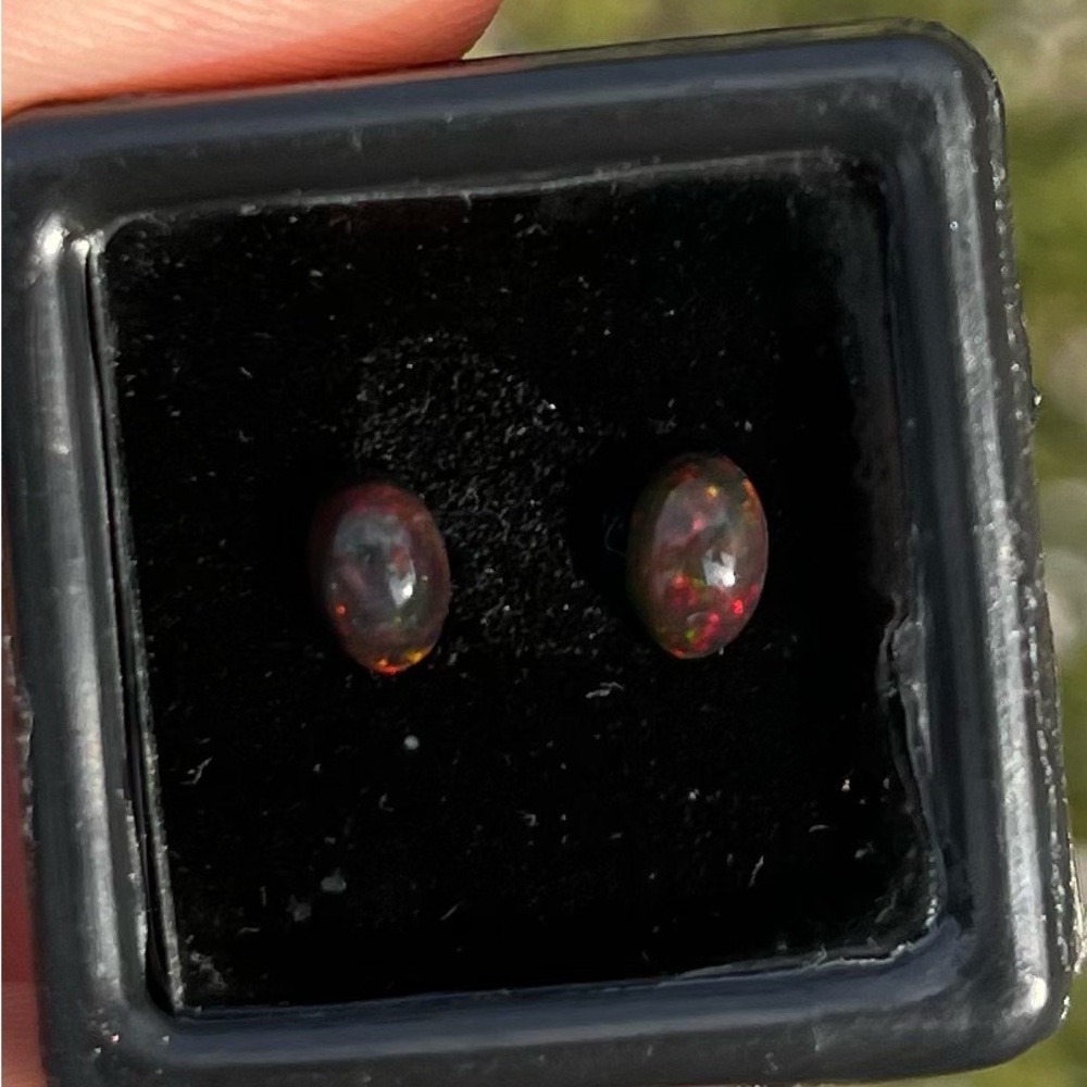 Elegant Black & Other Opals Pairs